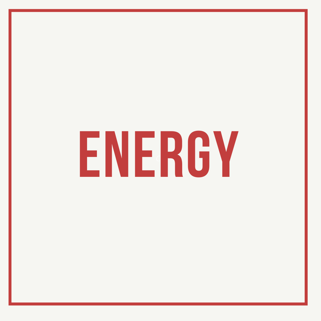 Energy Warrior MakerMasti